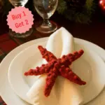 Crochet Red Starfish Pattern | Thanksgiving Gift | DIY Cozy Fall Home Decor Tutorial | Amigurumi Sea Animal PDF Digital Download