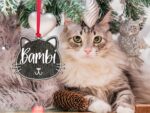 Personalized Cat Ornament for Pet Christmas Gift, Custom Christmas Cat Gift for Cat Lover, Christmas Ornament for Cat Owner Gift for Xmas - Image 6