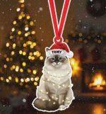 Personalized Ragdoll Cat Christmas Ornament, Hanging DecorationCat Christmas Ornament, Cat Lover Gifts, Cat Ornaments For Christmas Tree.