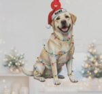 Personalized Labrador Retriever Christmas Ornament, Flat 2D Ornament, Dog Lover Gift, Christmas Ornament, Holiday Pet Gift - Image 3